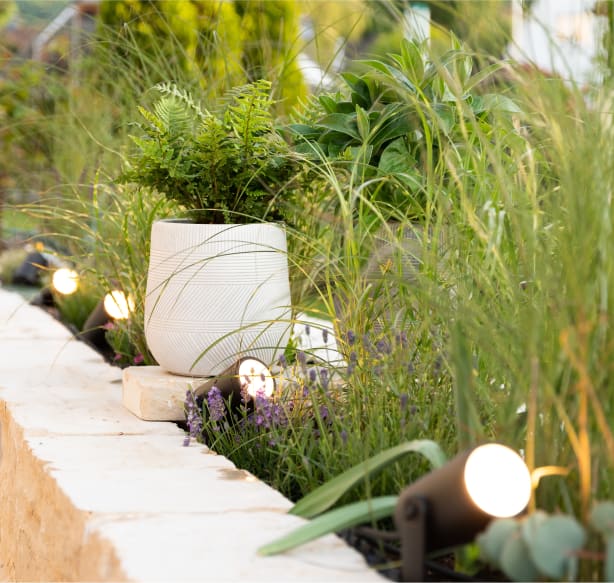 Landscape lighting lights a garden.