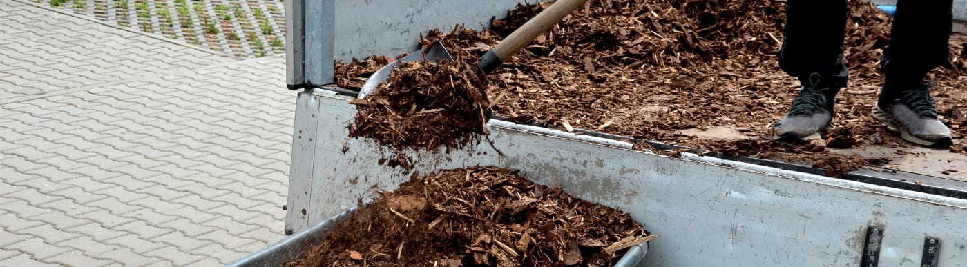 A worker shovels mulch out of a truck.