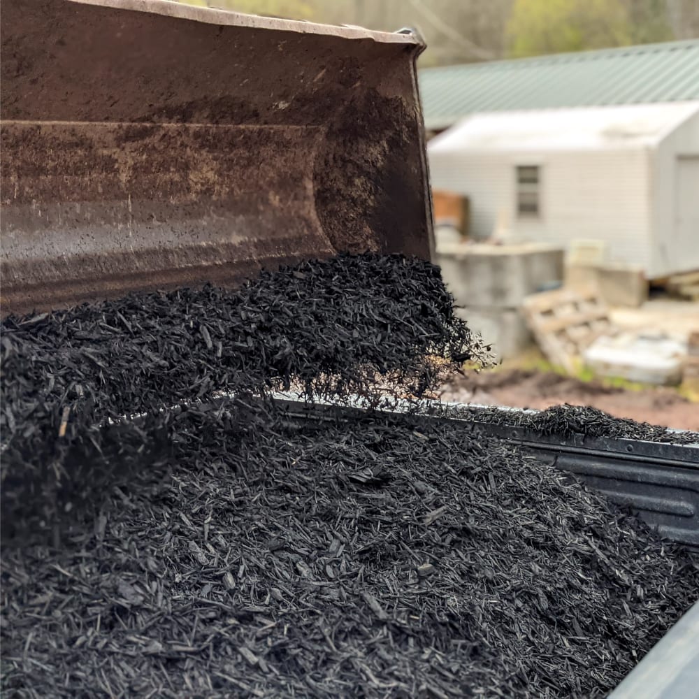 A front loader fills a trailer with black mulch.